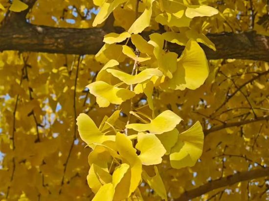 長興開元名都大酒店優惠