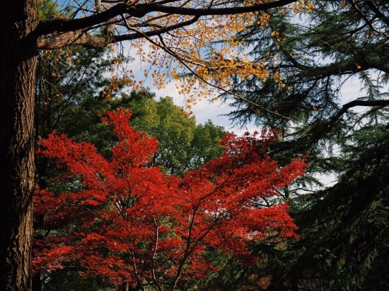 上海東郊賓館優惠