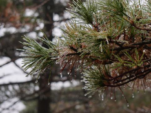 黃山獅林大酒店優惠