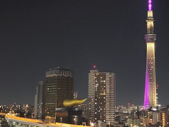 ホテルウィングインターナショナルセレクト浅草駒形 クーポン