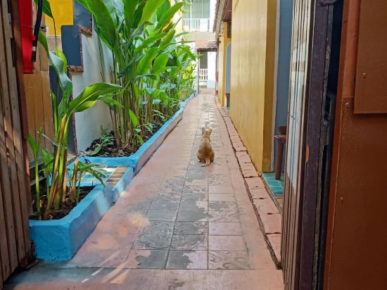 長美之家住宿加早餐旅館（小村子）優惠