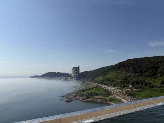 베스트루이스해밀턴호텔 오션테라스 쿠폰