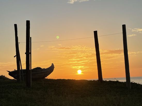 澎湖蘋果香味優惠