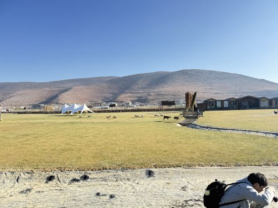 麗思漫丨心宿·穹廬四野供氧莊園（香格里拉店）優惠