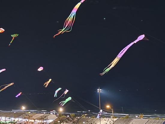 頭頓綠色飯店優惠