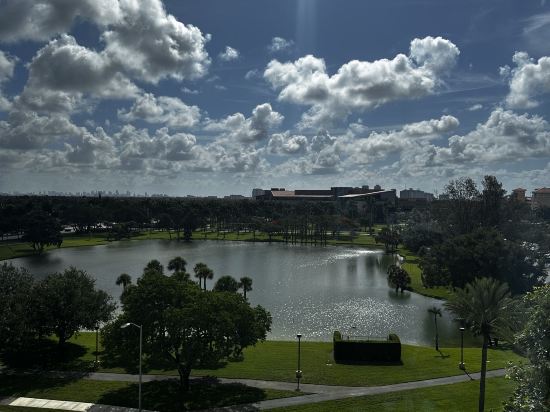 邁阿密達特蘭希爾頓酒店優惠