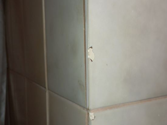 科隆中央阿德飯店優惠