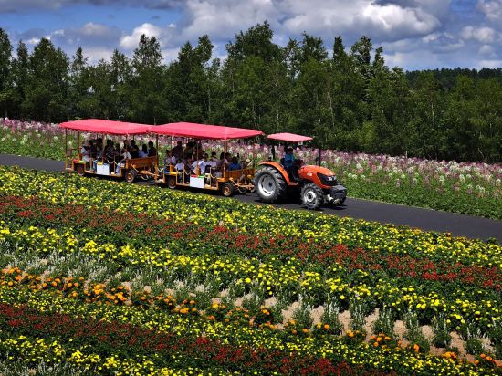 富良野リゾートホテル エーデルヴェルメ クーポン