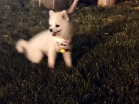 ONE山全套房酒店優惠