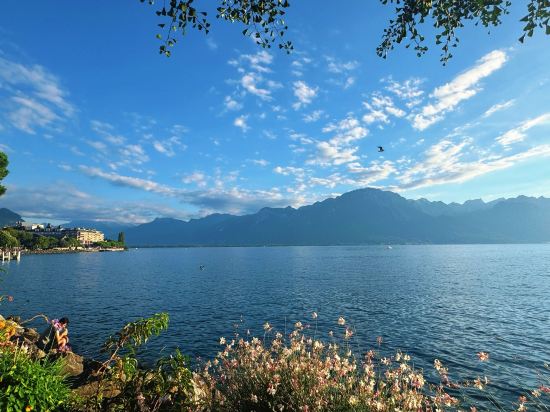 蒙特勒瑞士雄偉大傲途格精選酒店酒店優惠