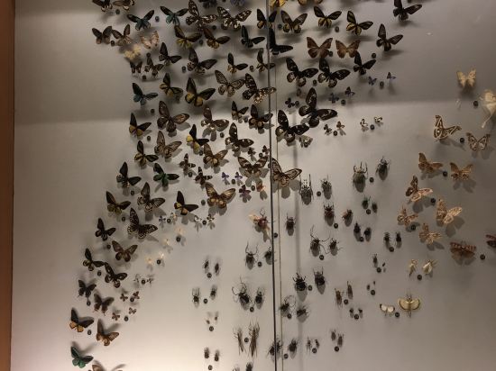 上海浦西萬怡酒店優惠