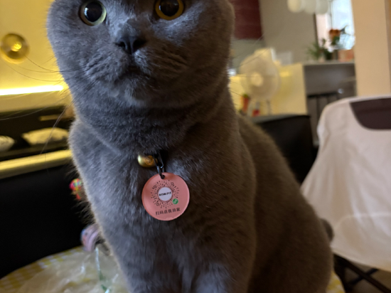 成都茉莉國際青年旅舍（春熙路太古裡店）優惠