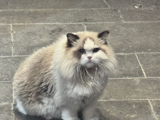 上海渝舍印象飯店（豫園外灘店）優惠