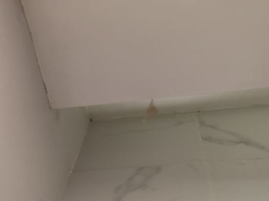 宿適輕奢飯店（上海瑞金醫院肇嘉浜路店）優惠