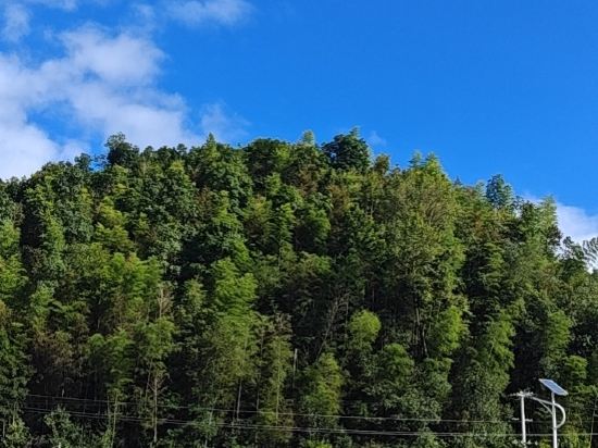 塞爾蓬加丁埃皮索德飯店優惠