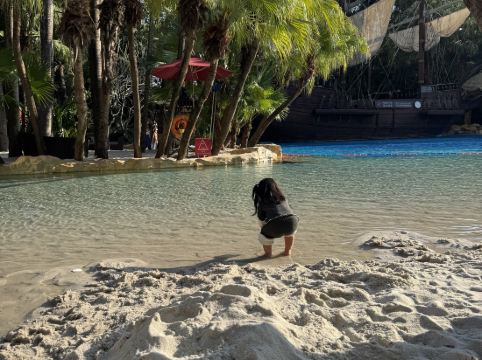 深圳華僑城洲際大酒店優惠