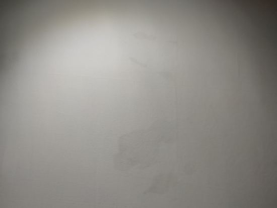 호텔 농심 쿠폰