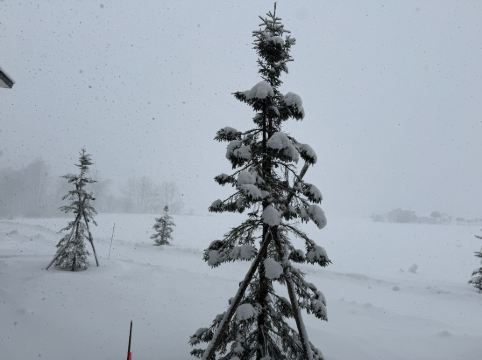 Miru Niseko クーポン