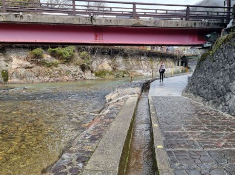 朝野家 クーポン