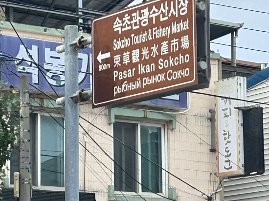 Sokcho Day 쿠폰