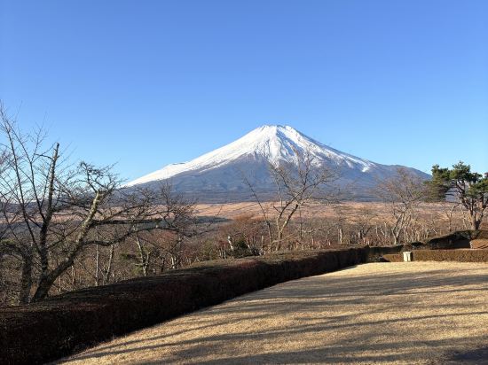 ホテルマウント富士 クーポン