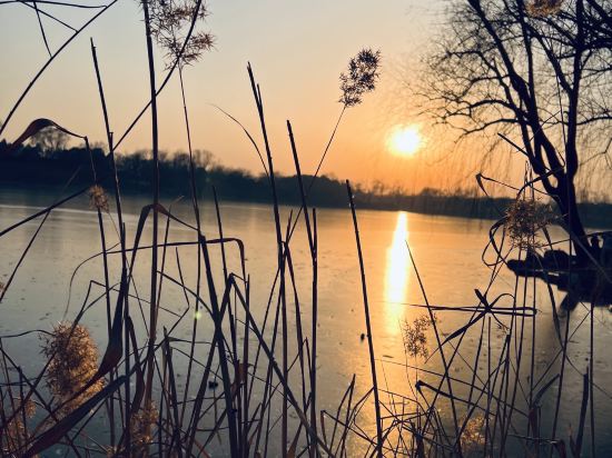 富潤 · 璟院 （北京王府井東四店）優惠
