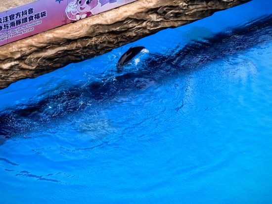 長隆橫琴灣酒店（珠海長隆旗艦店）優惠