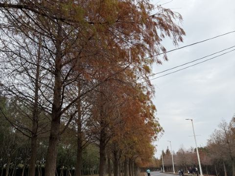 麗寶賽車主題旅店優惠