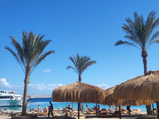 ZYA赫爾格達雷吉娜水上公園度假村優惠