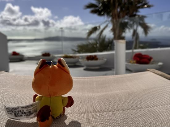 阿爾塔維斯塔套房酒店優惠