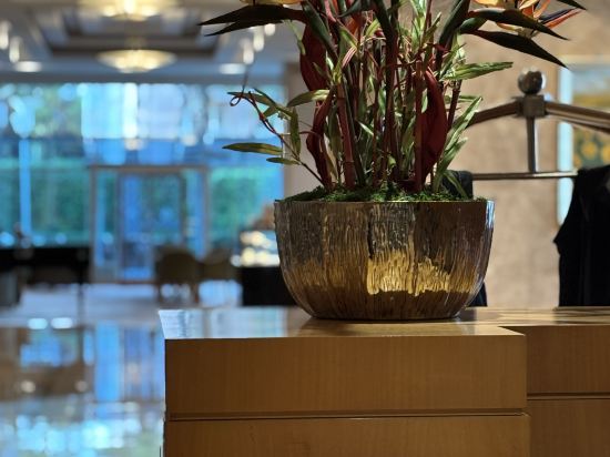 伊茲密爾奧迪萊克温德姆大酒店優惠