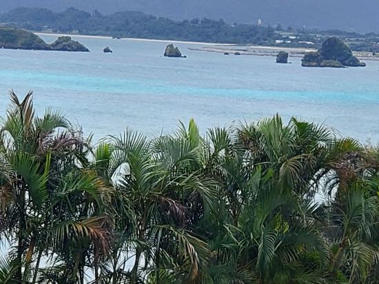 コンドミニアムリゾート那覇　リビングイン旭橋駅前プレミア＆アネックス クーポン