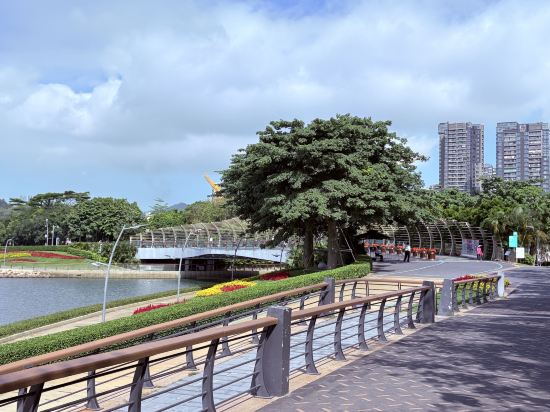 深圳南山雅閣澳瑞亞酒店優惠