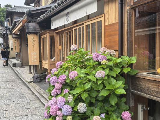 京都十字酒店優惠