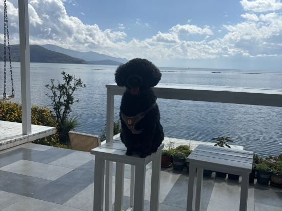 大理海音·海景花園美宿優惠