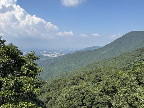 深圳北站王牌國際飯店優惠