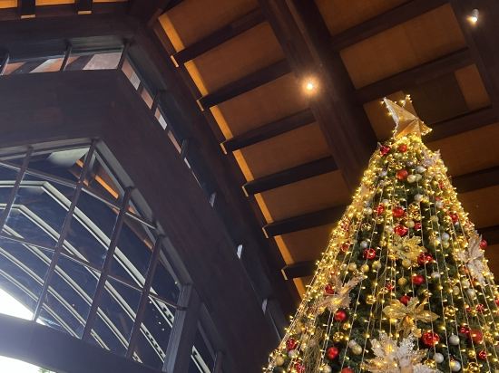 三亞灣海居鉑爾曼度假酒店優惠