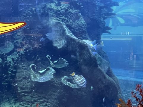 佛山希爾頓酒店優惠