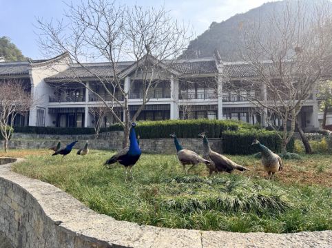 陽朔悦榕莊優惠