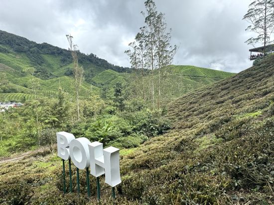 金馬倫高原種植園鄉村酒店優惠