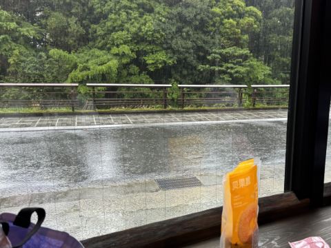 箱根湯本 喜仙荘 クーポン