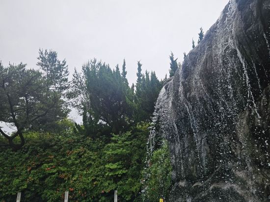 WE호텔 제주 쿠폰
