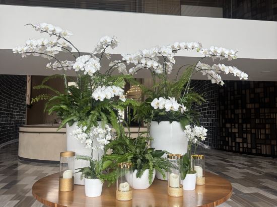 富國島長灘洲際度假酒店優惠