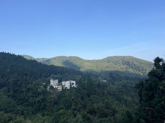 南投溪頭孟宗山莊大飯店優惠