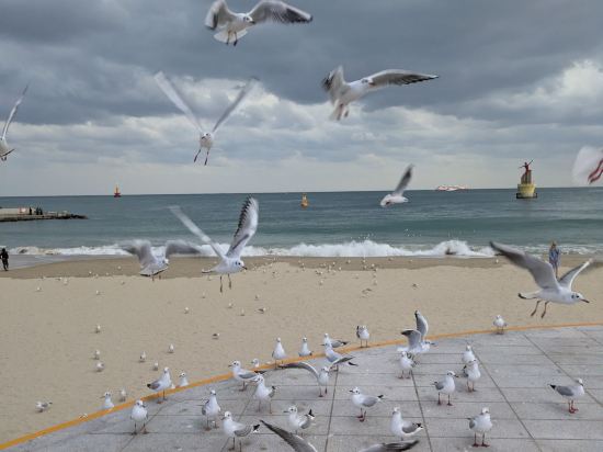 本暱客雅Premier飯店-海雲台優惠