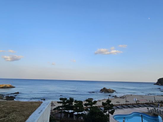 쏠비치 양양 쿠폰