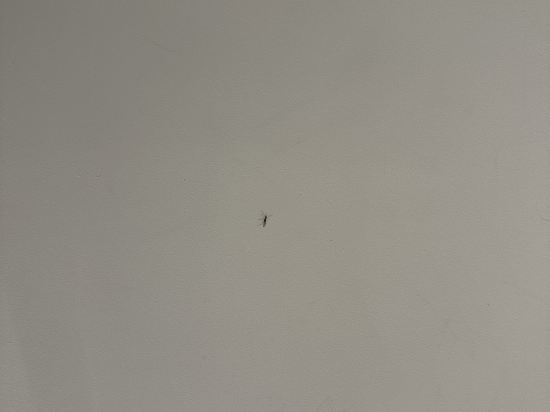 H大道飯店 - 建大聖水優惠