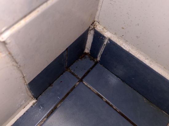 鐘樓格拉斯哥蘇格蘭會展中心酒店優惠