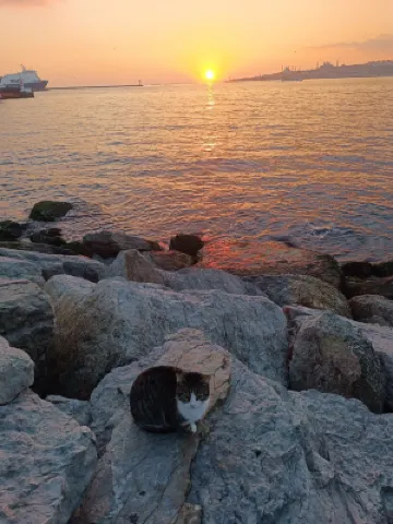 Vicolo Moda Xung quanh Photos