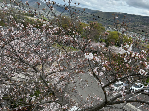 城山温泉 香川県 クーポン